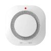 Independent Smoke Alarm Fire Protection