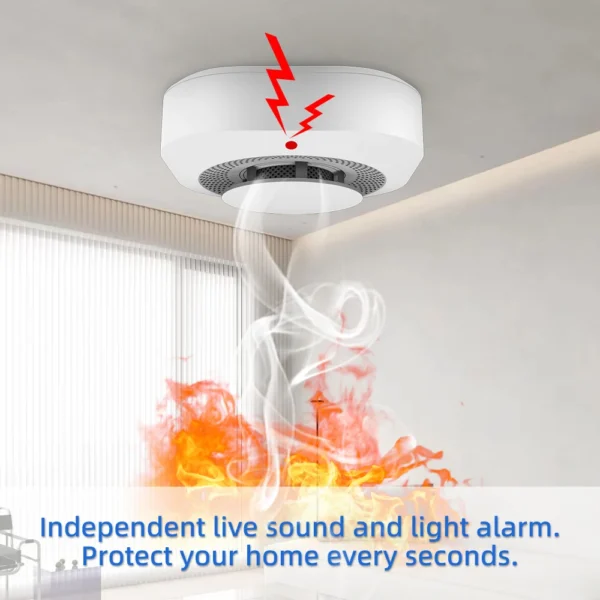 Independent Smoke Alarm Fire Protection